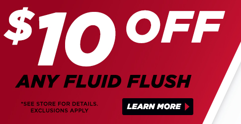 Any Fluid Flush